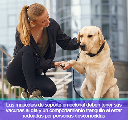 Mujer con perro como soporte emocional en Colombia