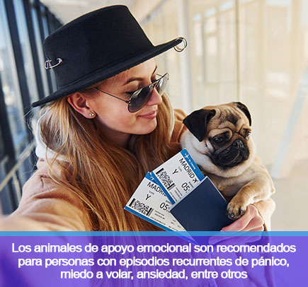 Mujer con perro abordando avin 