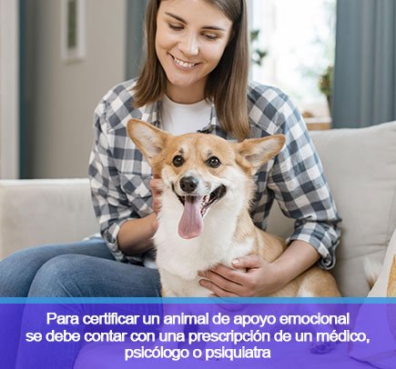 Mujer con Perro en Sofa