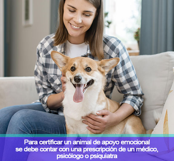 certificados-de-apoyo-emocional-de-mascotas-en-bogota-1