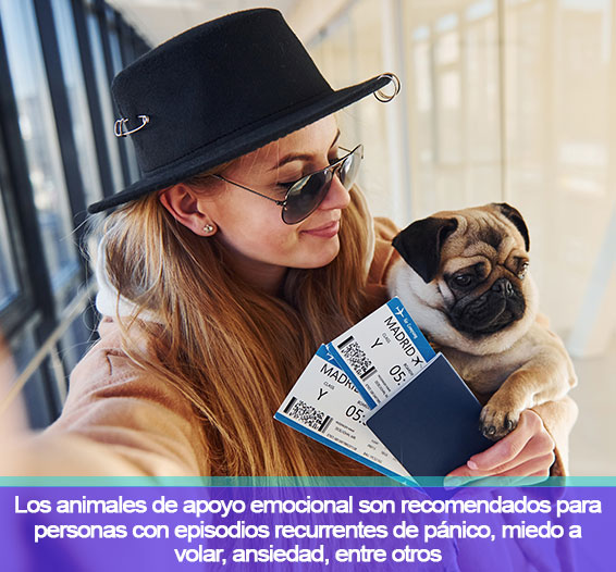 certificados-de-apoyo-emocional-de-mascotas-en-bogota-2